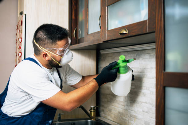 Best Best Pest Control Companies  in Heritage Pines, FL