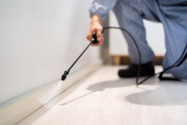 Professional Pest Control in Heritage Pines, FL