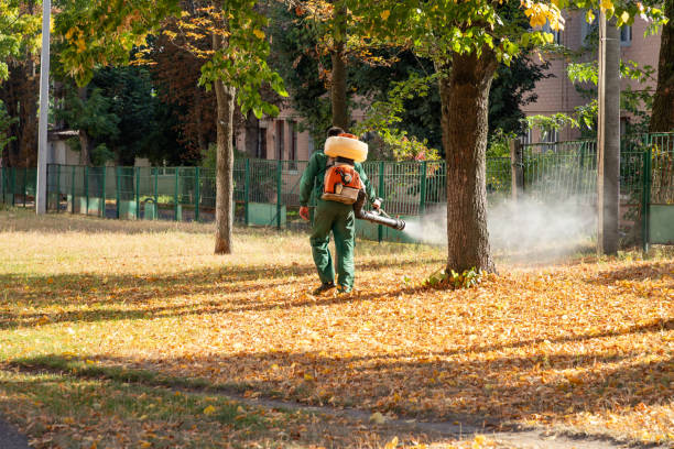 Best Emergency Pest Control  in Heritage Pines, FL